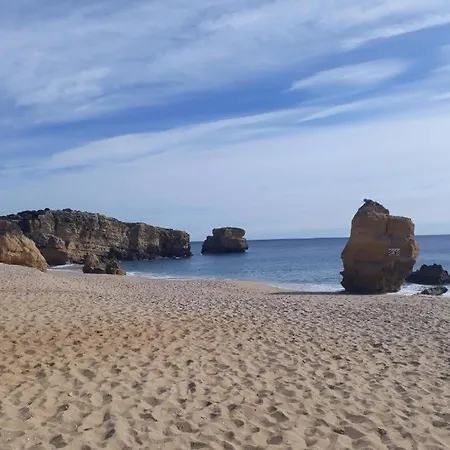 Perfect Holidays
